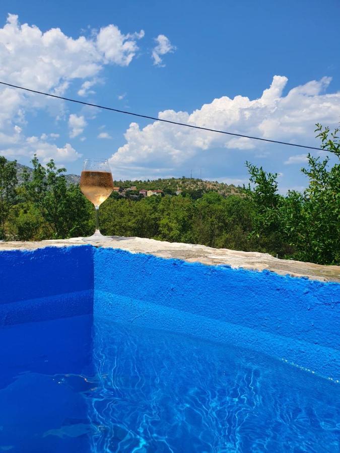 House Pejovic *